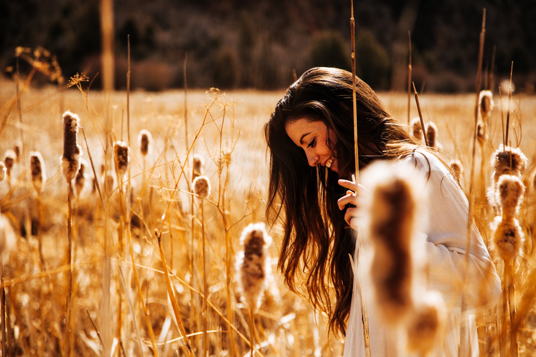 Anne Hasseltine Judson: An Epitome of a Surrendered and Sanctified Life