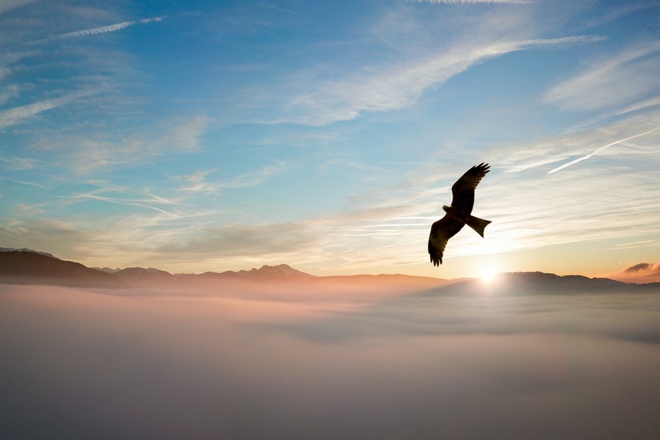 The Strength to&nbsp;Soar