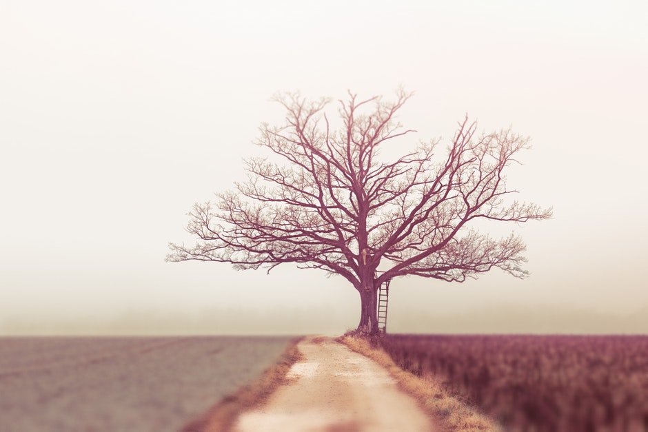 Embracing New Roads of&nbsp;Life