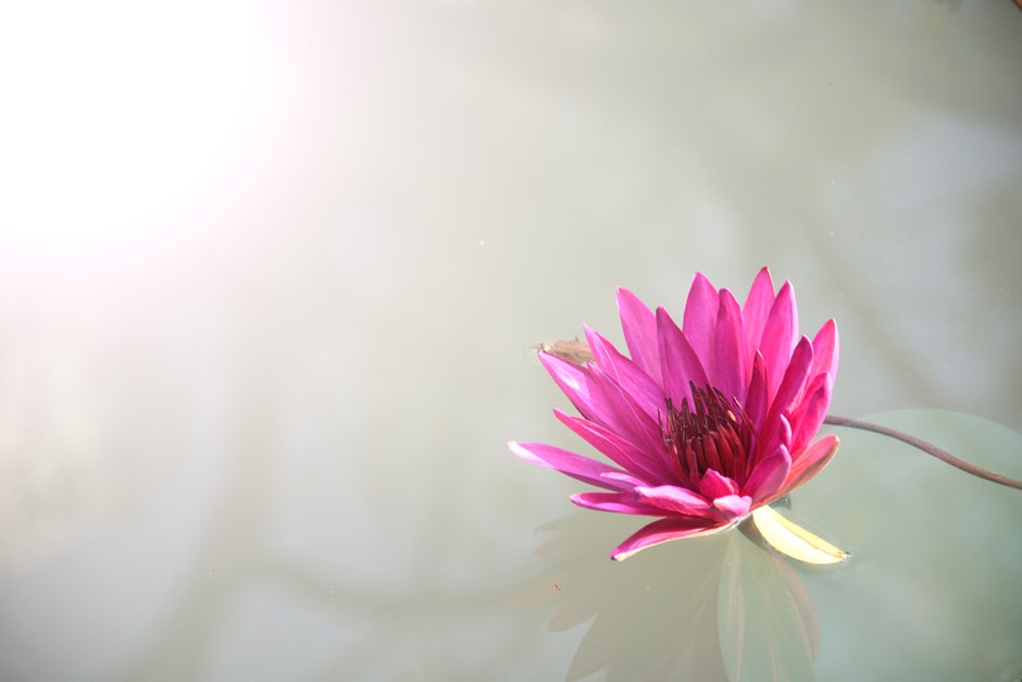 The Choice to Trust God