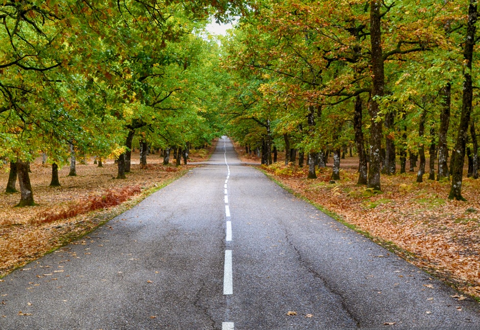 10 Ways for Christians to Have a Fruitful&nbsp;2019