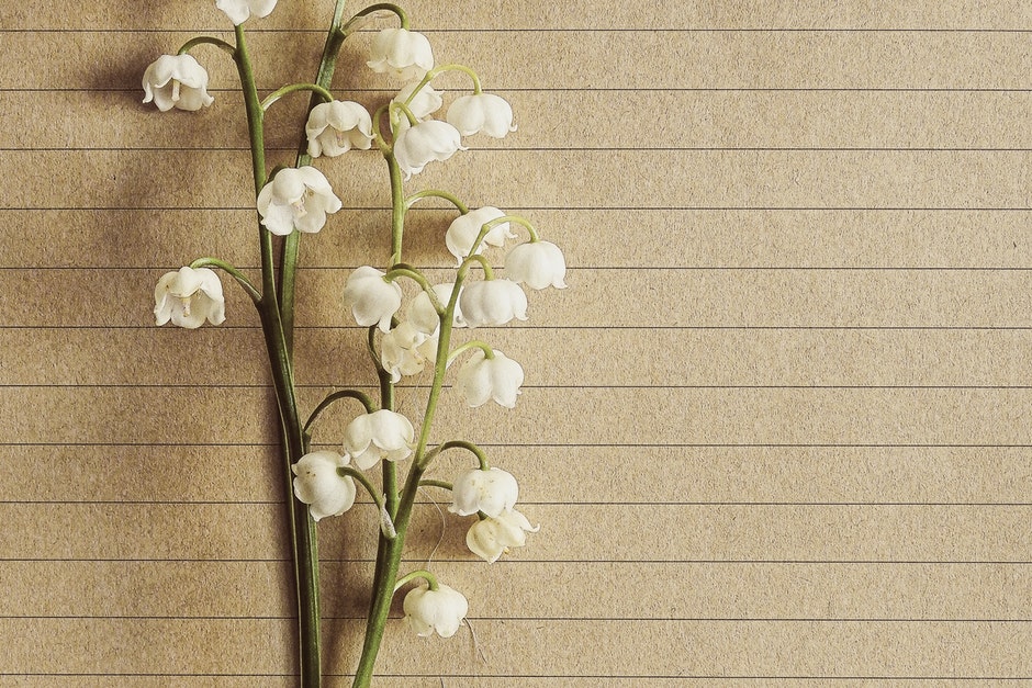 The Character of True&nbsp;Humility