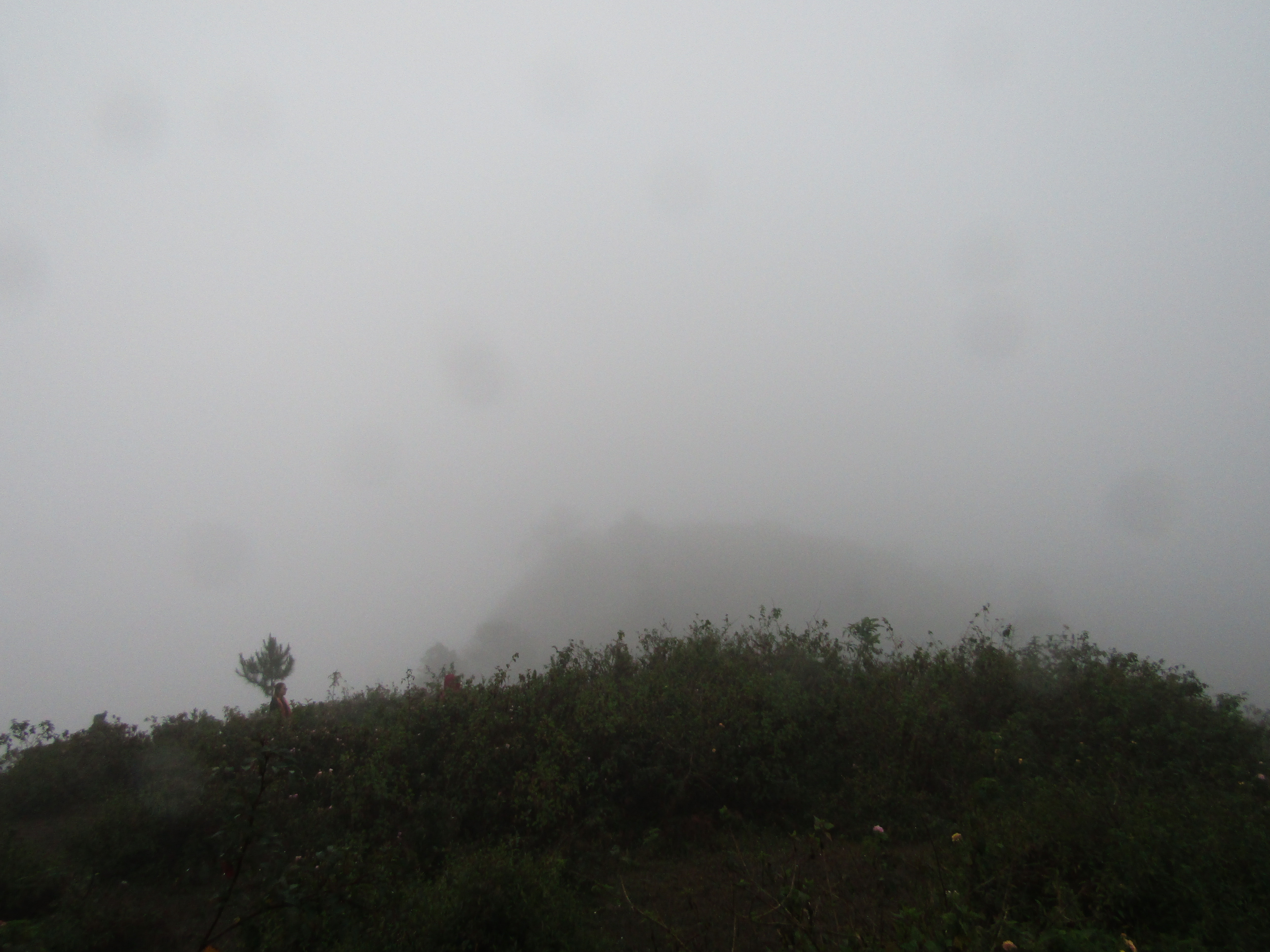 The Misty Mountain