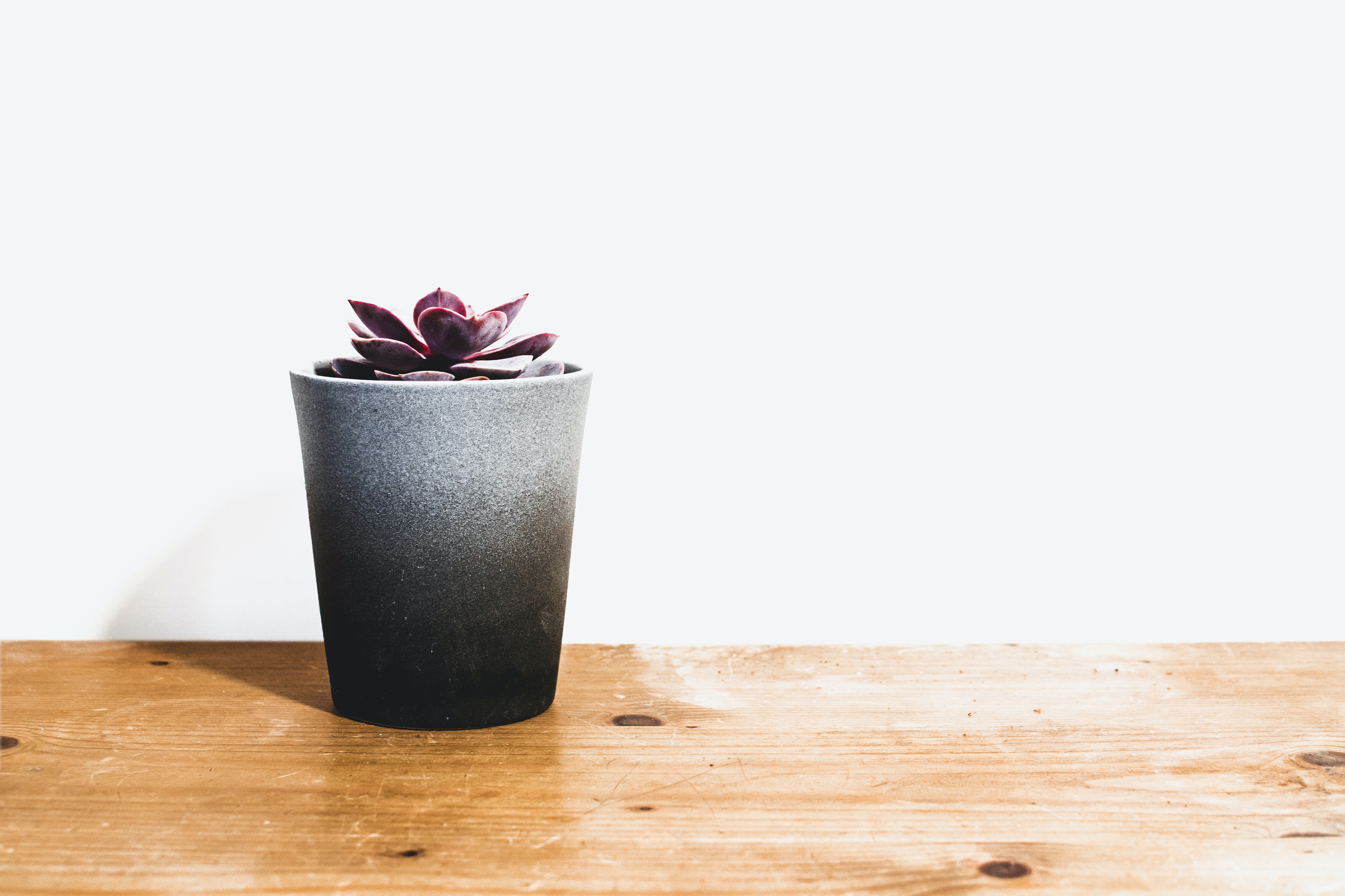 Finding Hope in Chaos