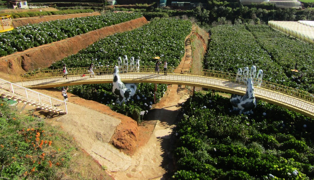 Start the Year&nbsp;Right