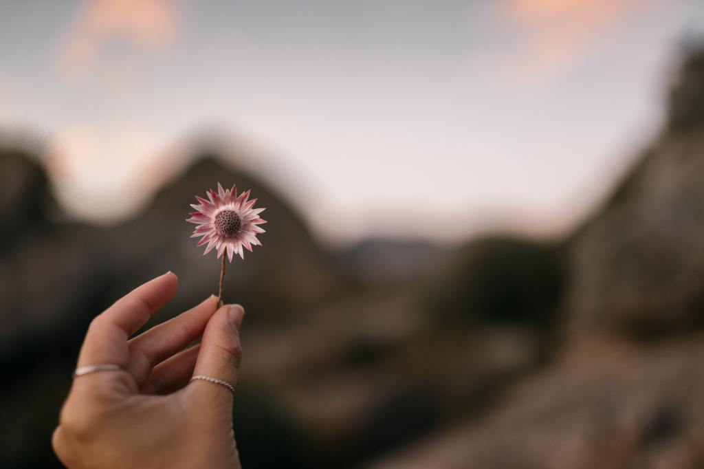 Holding Things Loosely