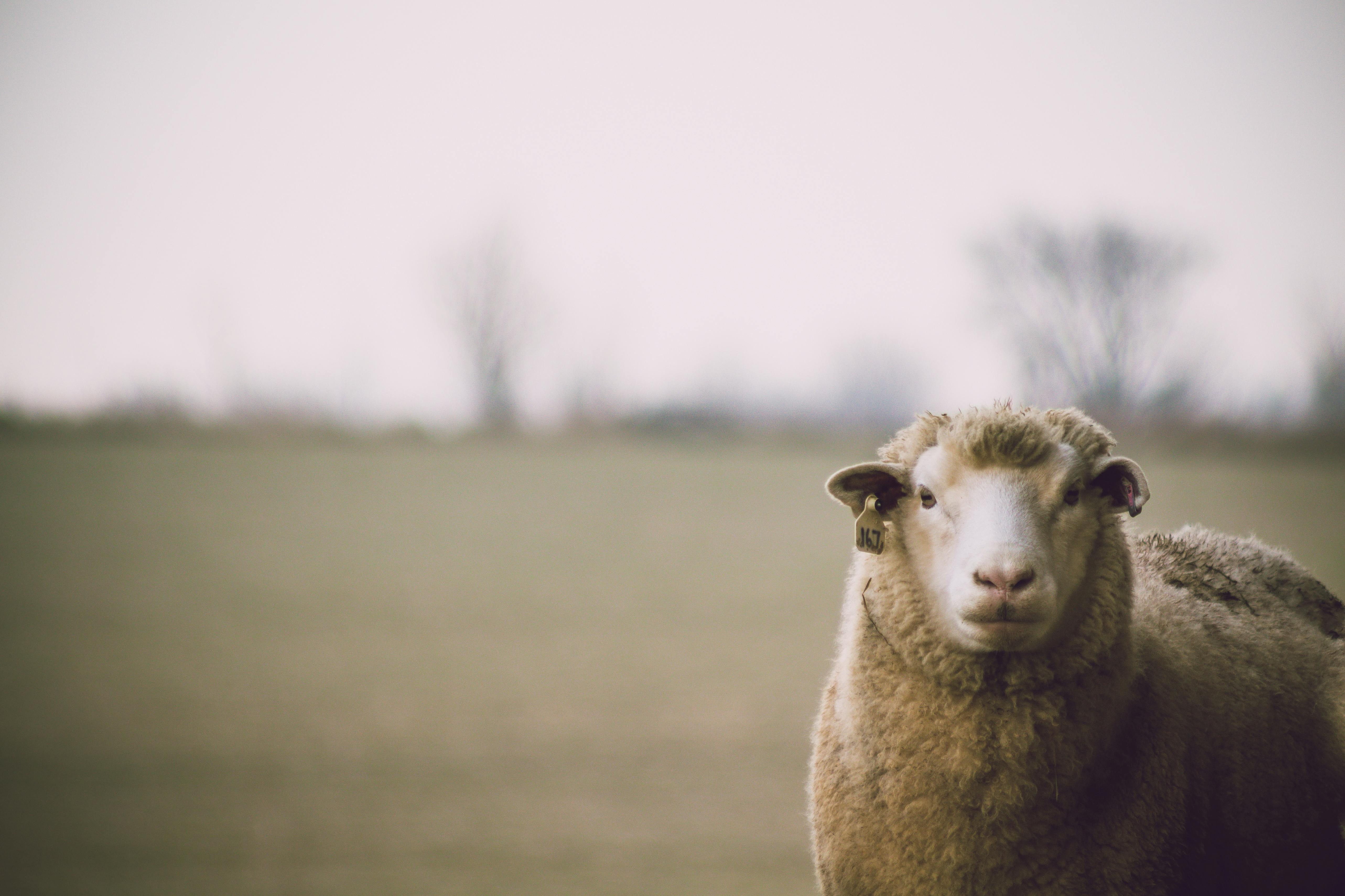 Staying Vigilant in Faith: 5 Essential Guidelines