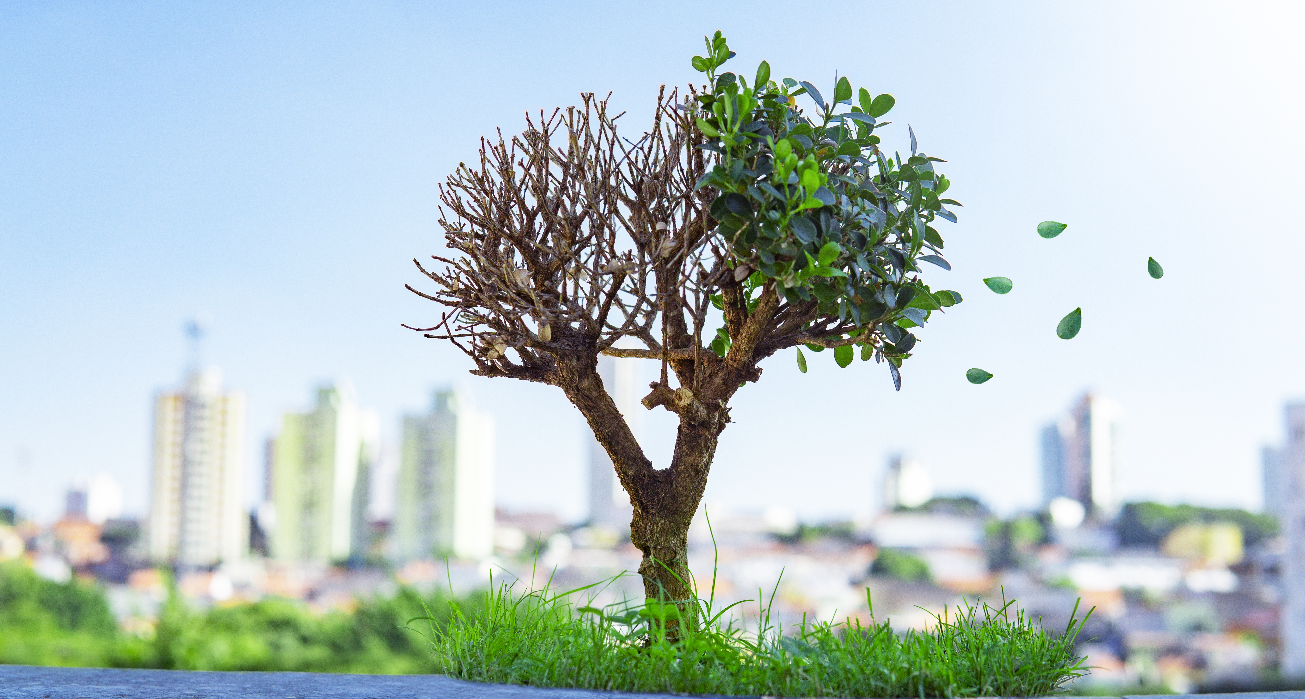 Numbering Our Days – Making the Most of Our Time