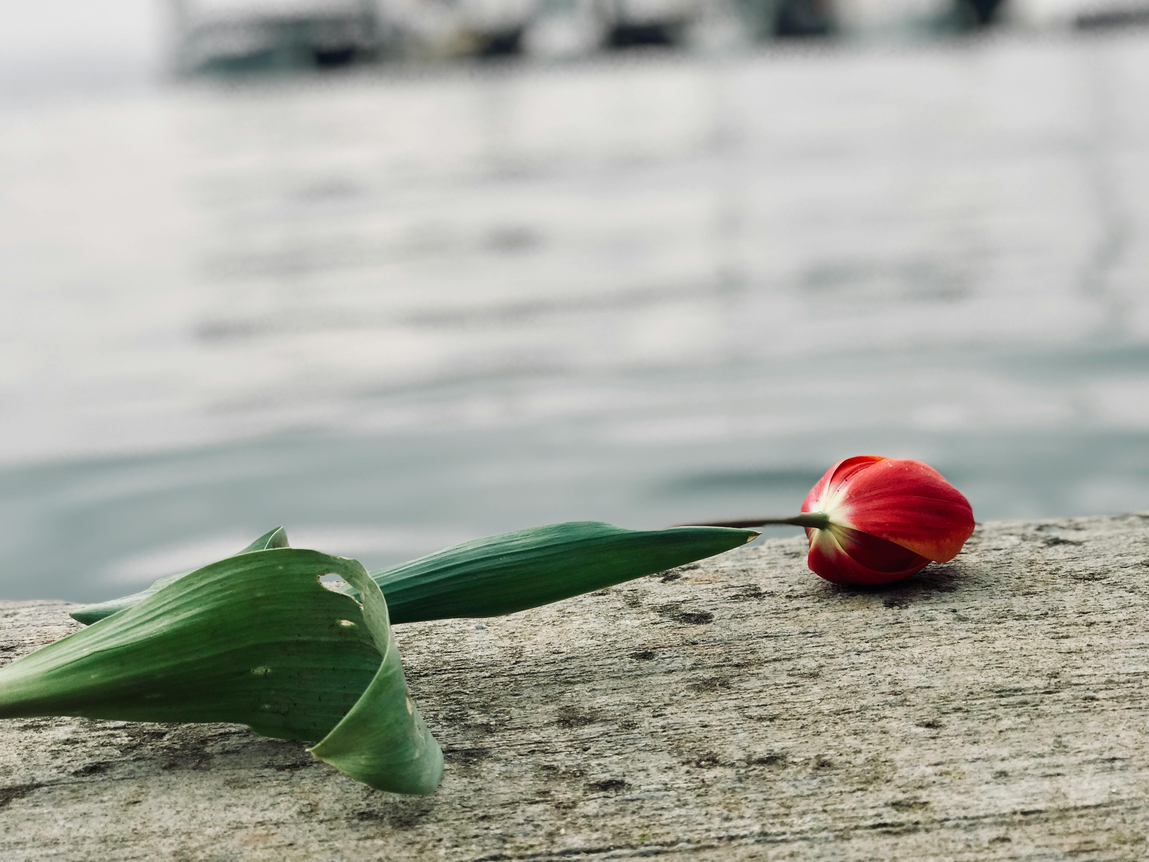 Lessons on Grieving​