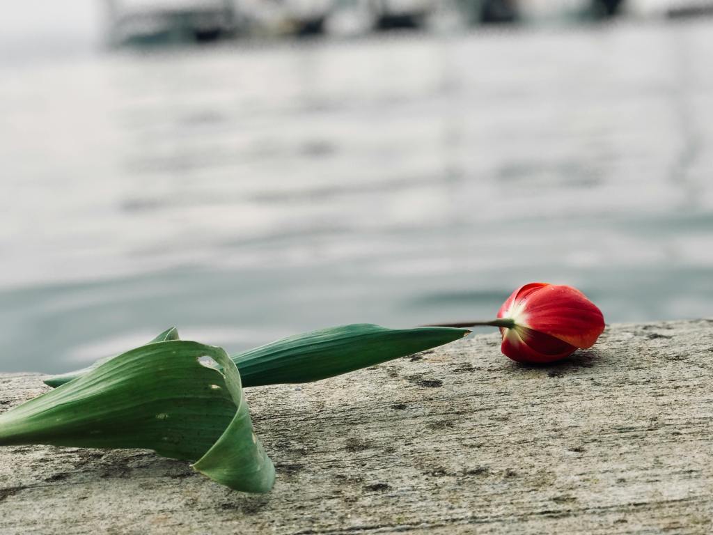 Lessons on Grieving​